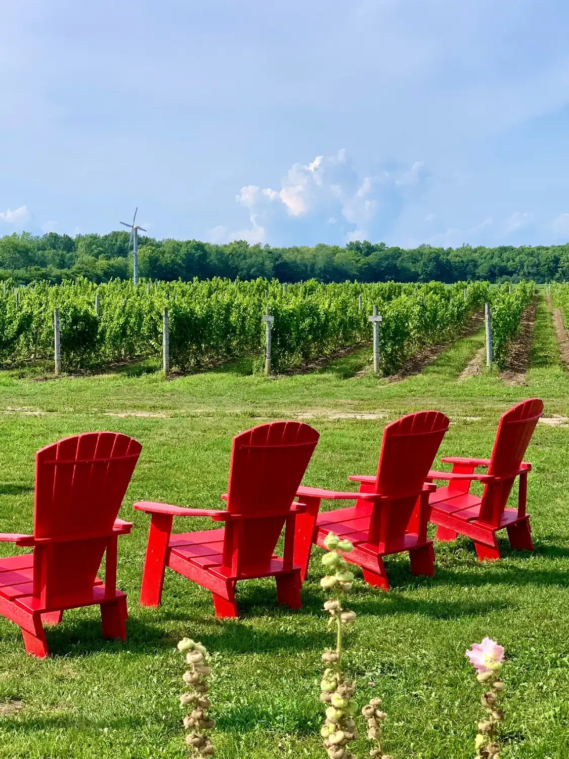Hotels near Sugarbush Vineyards & Winery