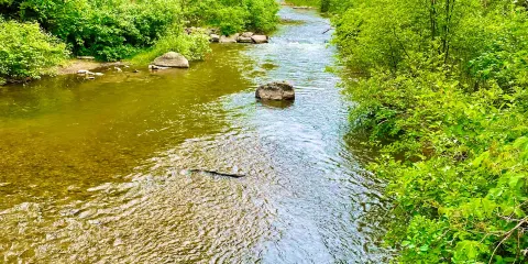 Bear River Valley Recreation Area