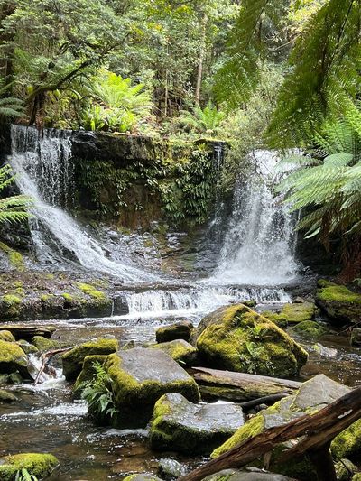 Horseshoe Falls