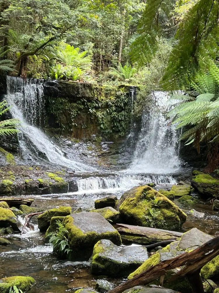 فنادق في National Park