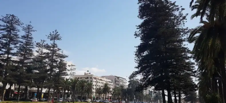 Hoteles en Mohammédia