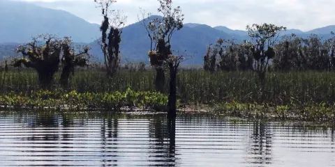 Parque Natural Municipal Lagoa do Parado