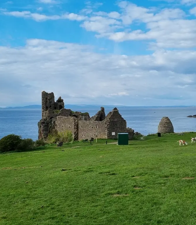 Ayr