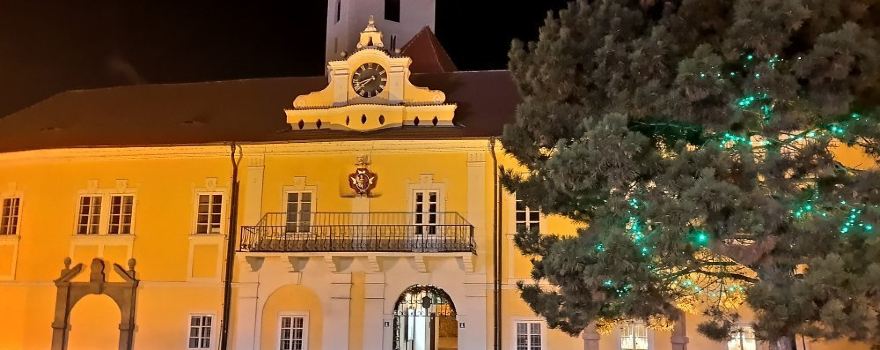 Castle Strakonice