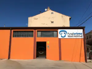 Fungiturismo