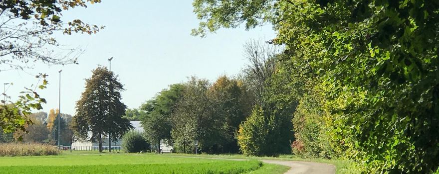 Holtzwihr