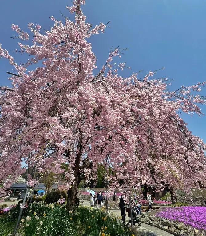 三田市