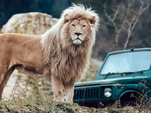 ZOO Siky Ranch, Christophe Keller