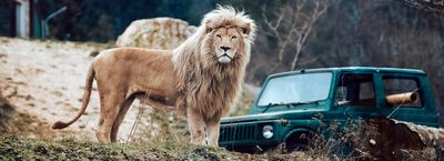 ZOO Siky Ranch, Christophe Keller