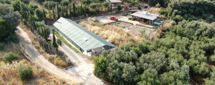 Tilisos