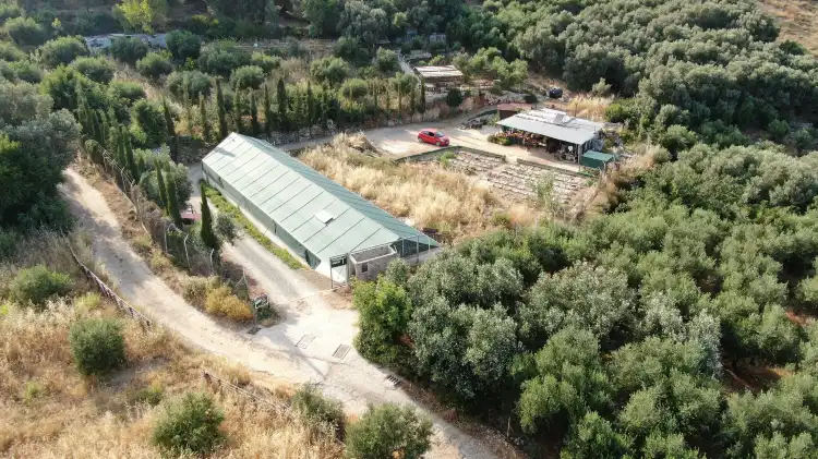 Tilisos
