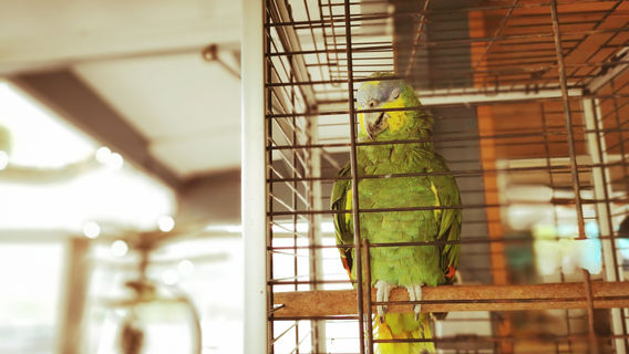 Mini Golf Pontaillac