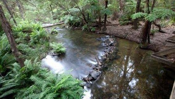 Upper Yarra Reservoir Park