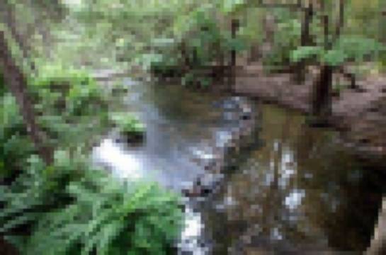 Upper Yarra Reservoir Park Tickets [2025] Promos, Prices