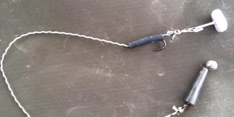 Hampton Springs Fishery