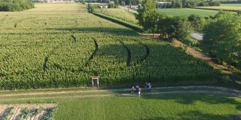 Fattoria Didattica “La Selce”