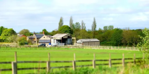 Greenslate Community Farm