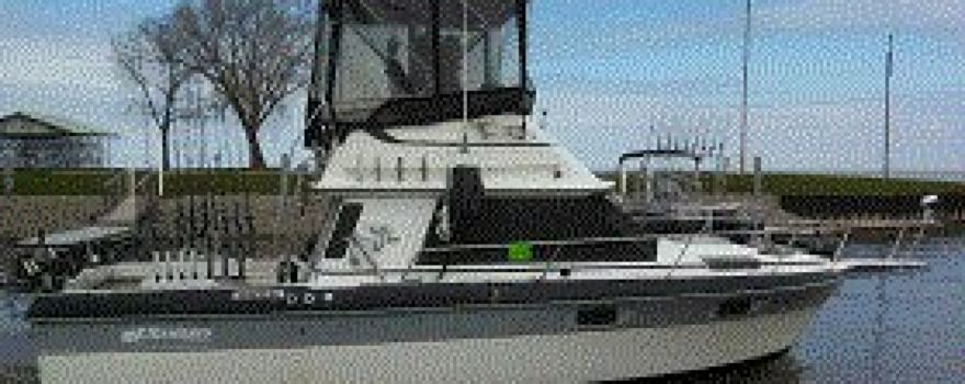 West Coast Sportfishing
