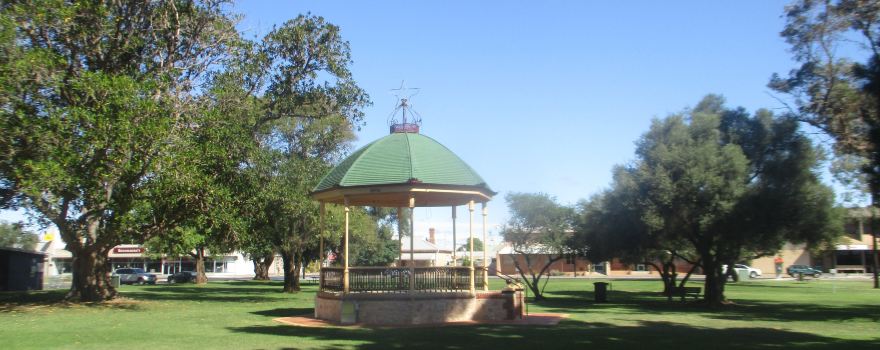 Wallaroo