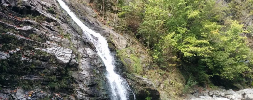 Cozia National Park