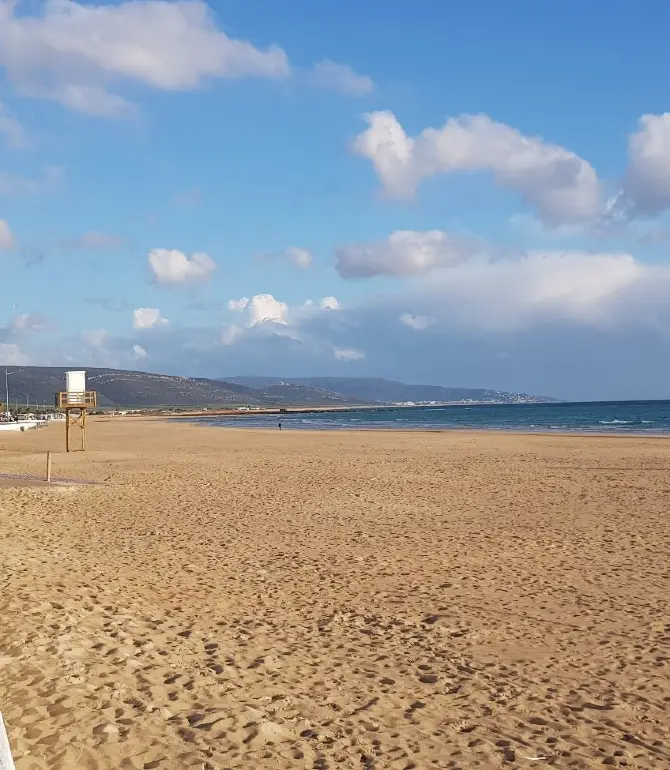 Barbate