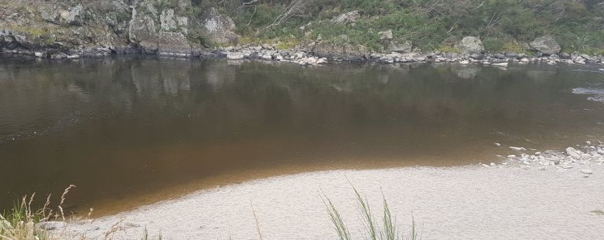 Outram Glen Scenic Reserve