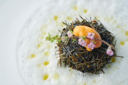 Nouvelle Pousse Okurayma