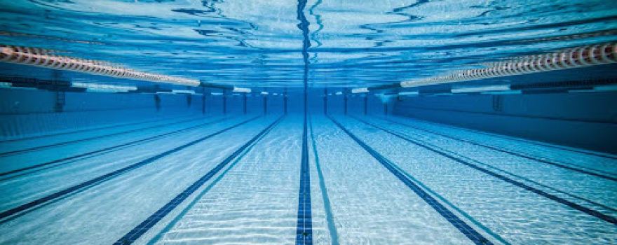 The Flamingo Pool Axminster