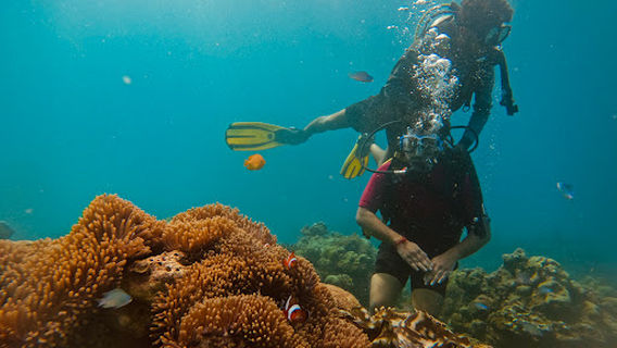 Seahawks SCUBA | Scuba diving in Havelock | Scuba diving in Andaman