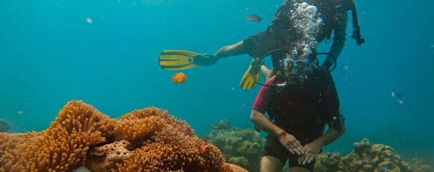 Seahawks SCUBA | Scuba diving in Havelock | Scuba diving in Andaman