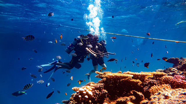 Chloe's Diving Center - Scuba Diving In Hurghada