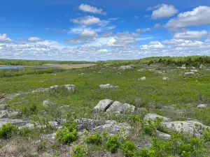 Morton Outcrops Scientific and Natural Area (SNA)