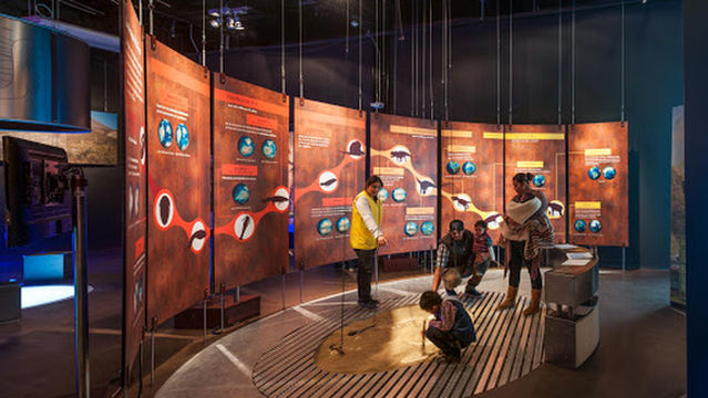 Caracol Centro Científico y Cultural A.C