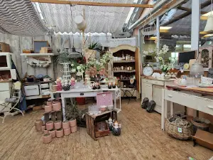 Teterower Gartenmarkt GbR - Dünninghaus