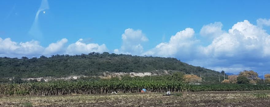 Hacienda Santa Rita