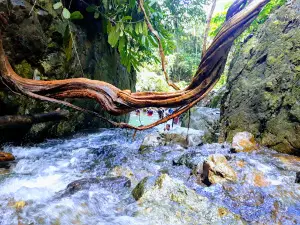 Air Terjun Sibohe