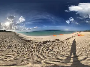 Playa Flamencos