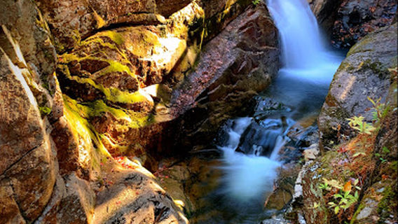 Sabbaday Falls Trail