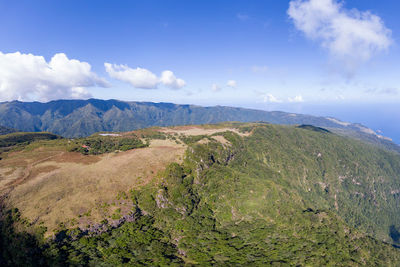 Fanal Forest