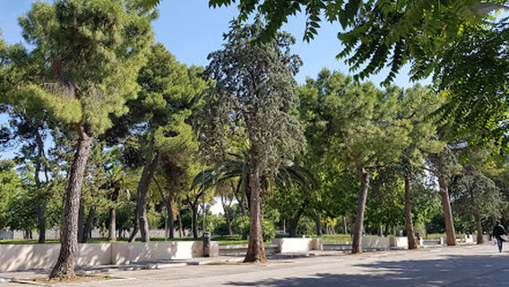 Palestra Verde