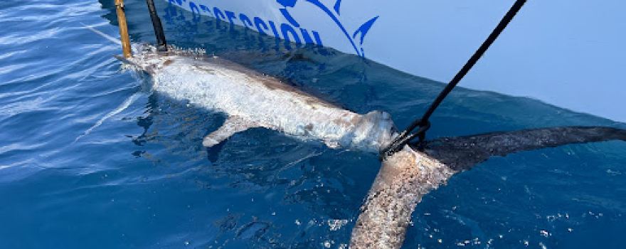 Reel Obsession Sport Fishing