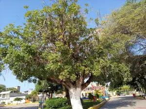 Plaza de Armas