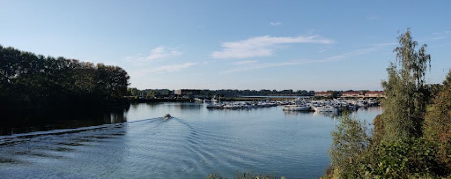 Boschmolenplas