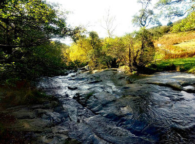 National Trust - Aira Force and Gowbarrow Park