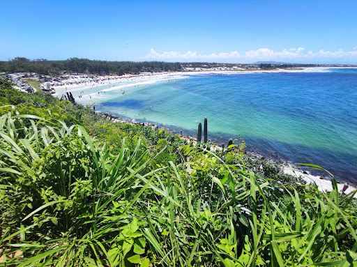 Molded Depth's Beach