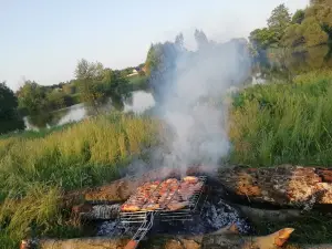 Desna River