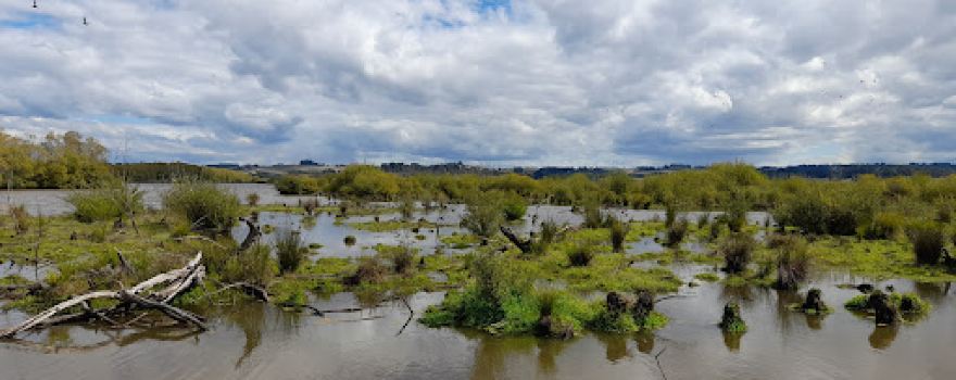 Lake Tuakitoto Trail Car Park