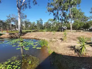 Gum Tree Lodge and Bush Camp