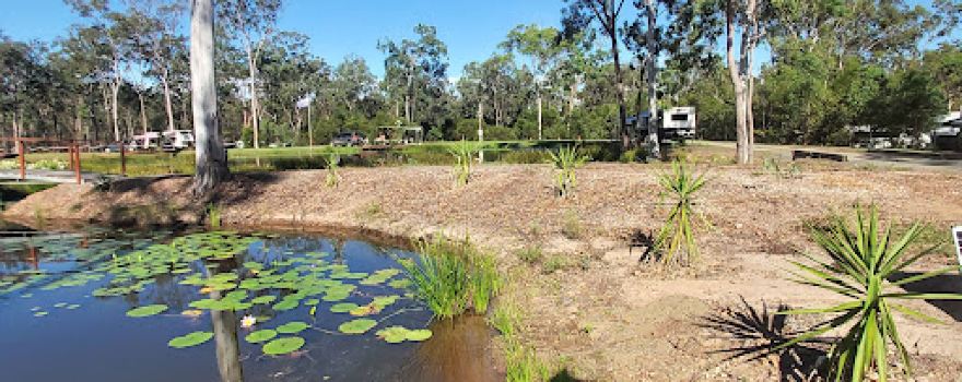 Gum Tree Lodge and Bush Camp