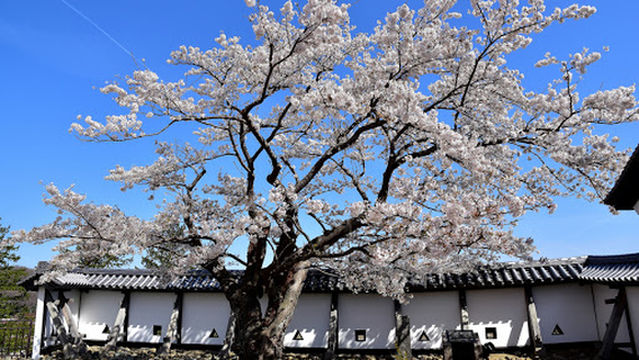 Shirakawa Komine Castle Three-fold Tower